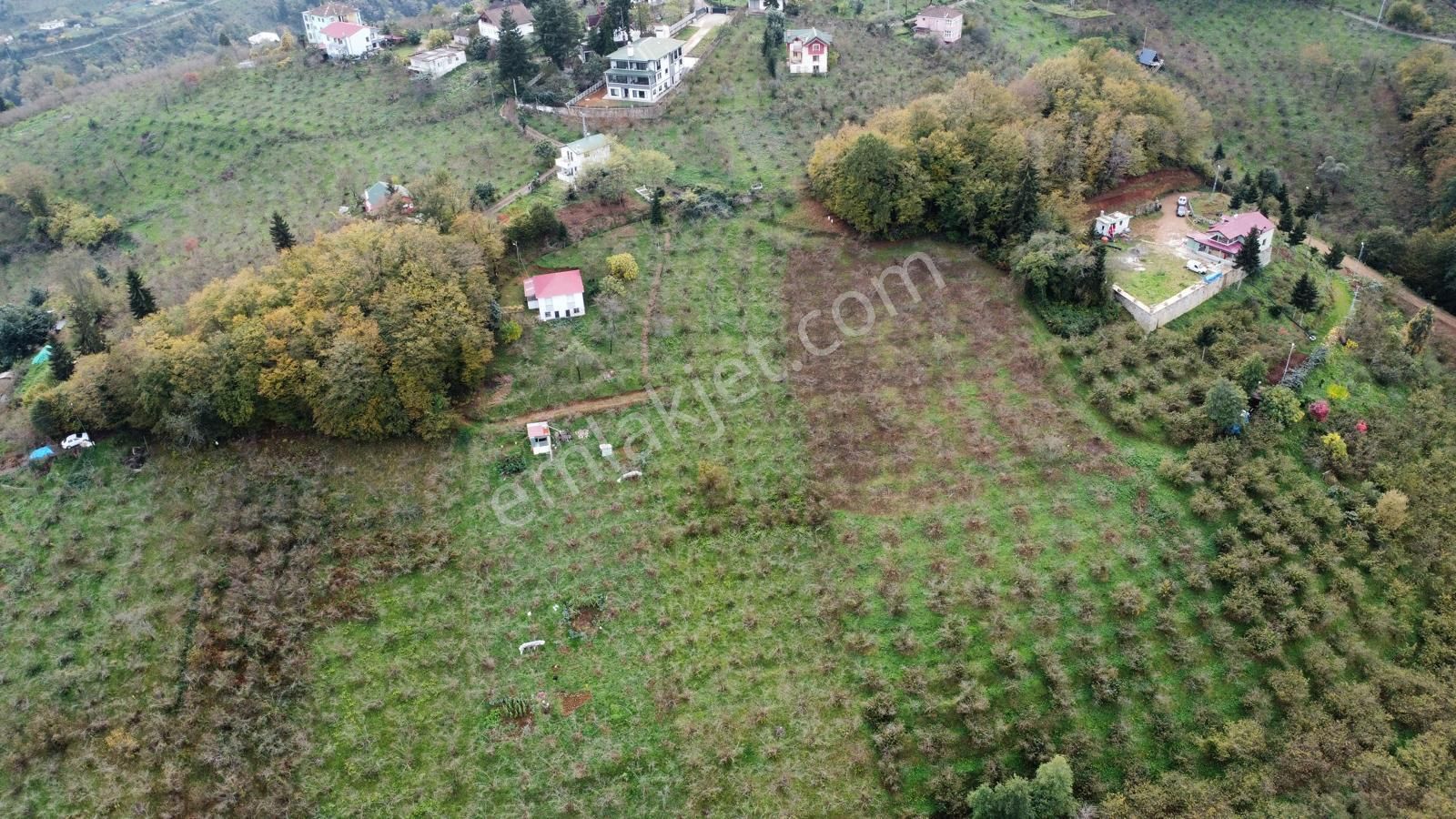 Trabzon Kavala'da Satılık Arazi - Görsel 7