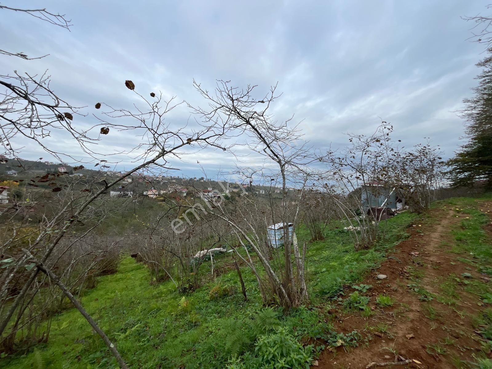 Trabzon Kavala'da Satılık Arazi - Görsel 31
