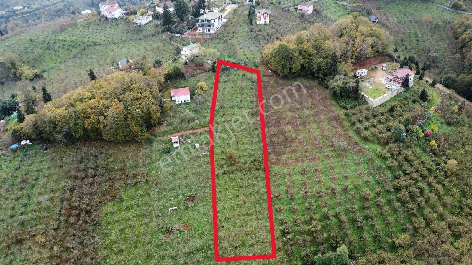 Trabzon Kavala'da Satılık Arazi