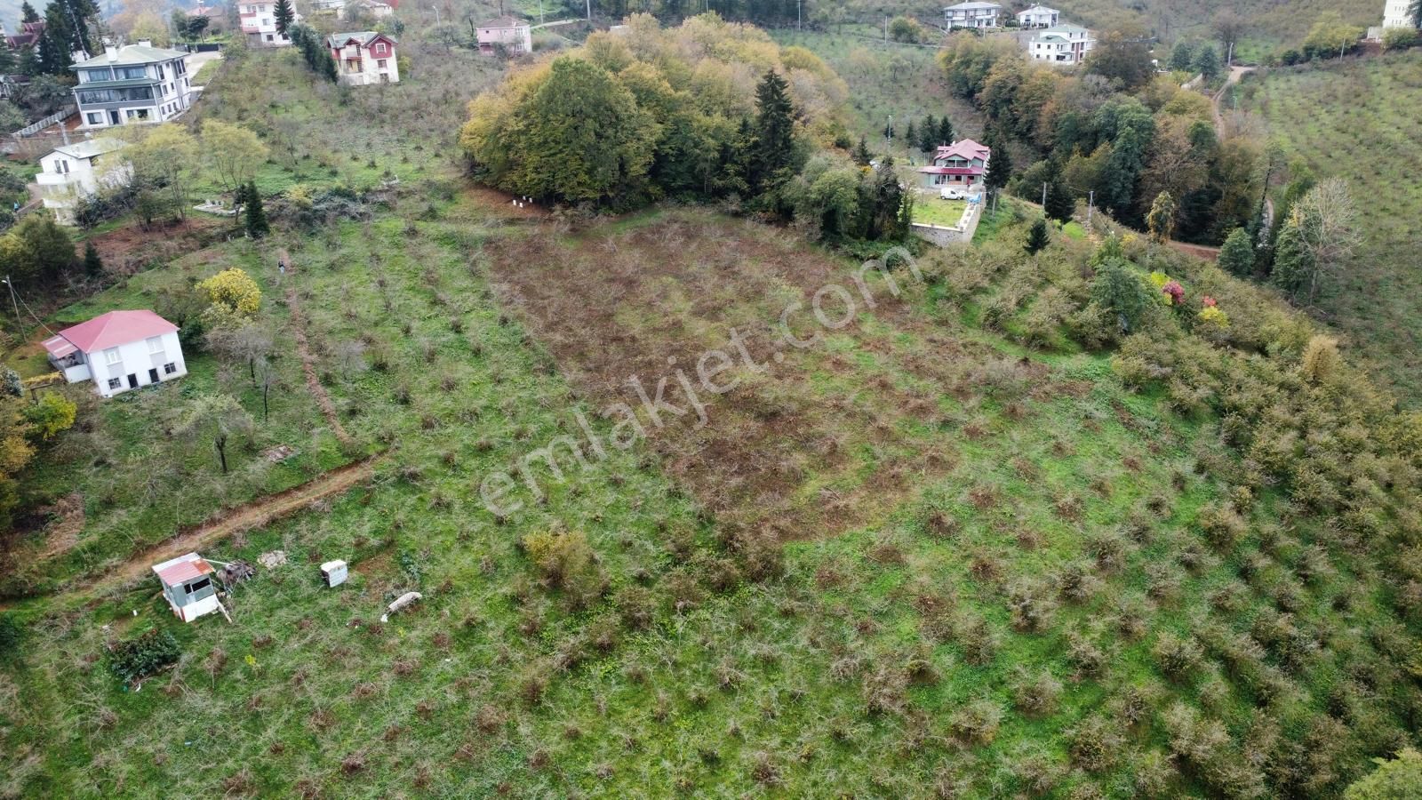 Trabzon Kavala'da Satılık Arazi - Görsel 6