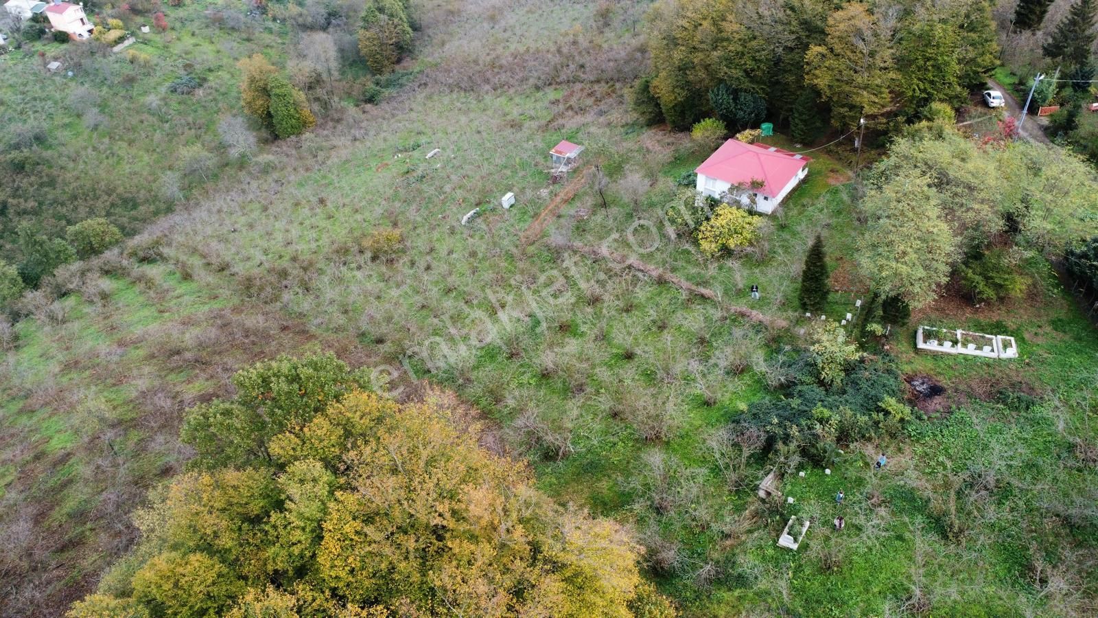 Trabzon Kavala'da Satılık Arazi - Görsel 26