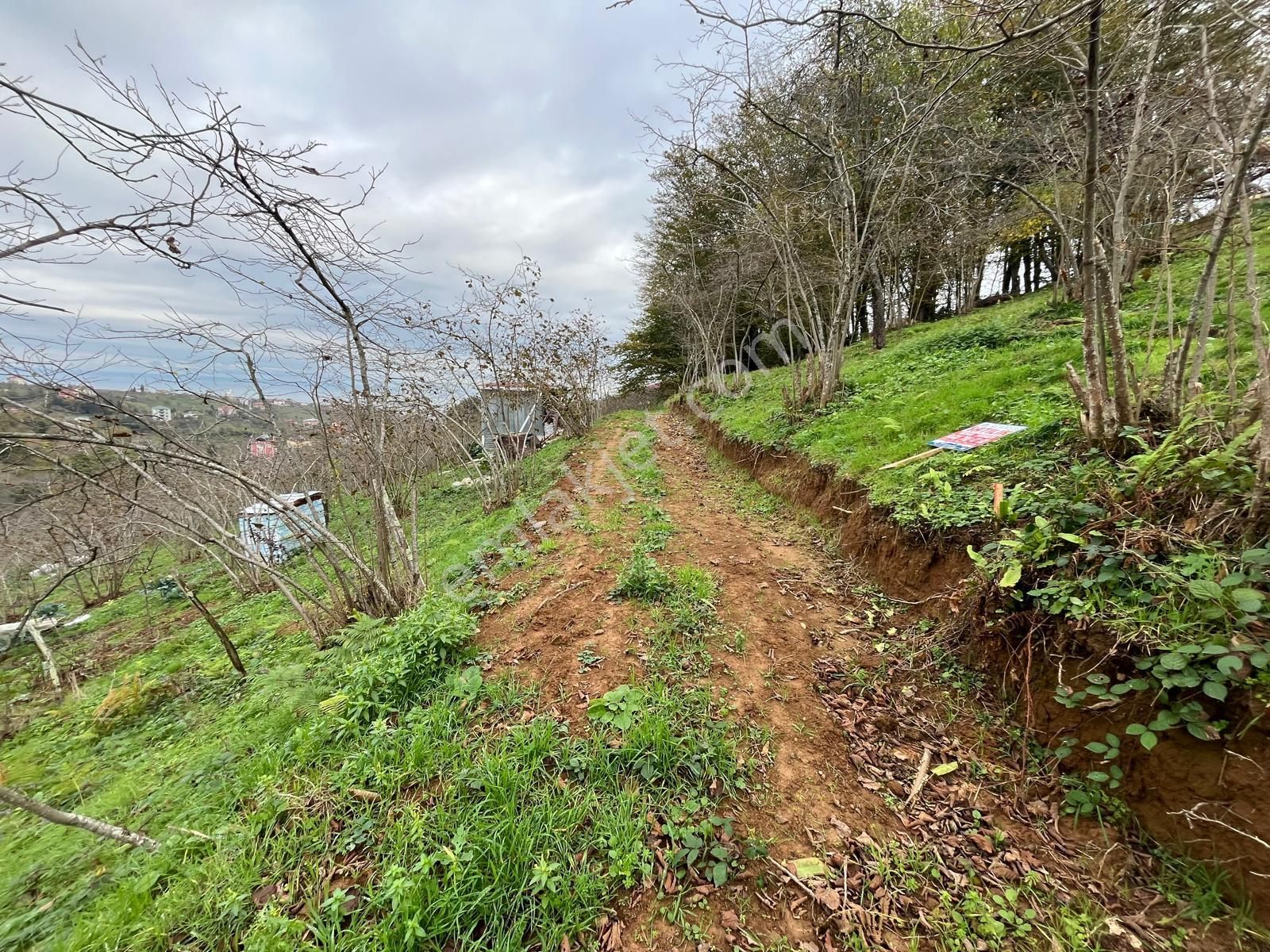 Trabzon Kavala'da Satılık Arazi - Görsel 27