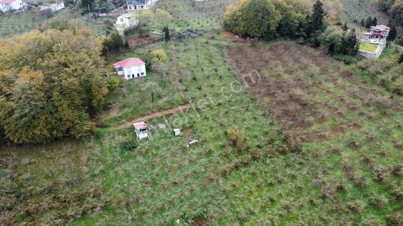Trabzon Kavala'da Satılık Arazi - Görsel 10