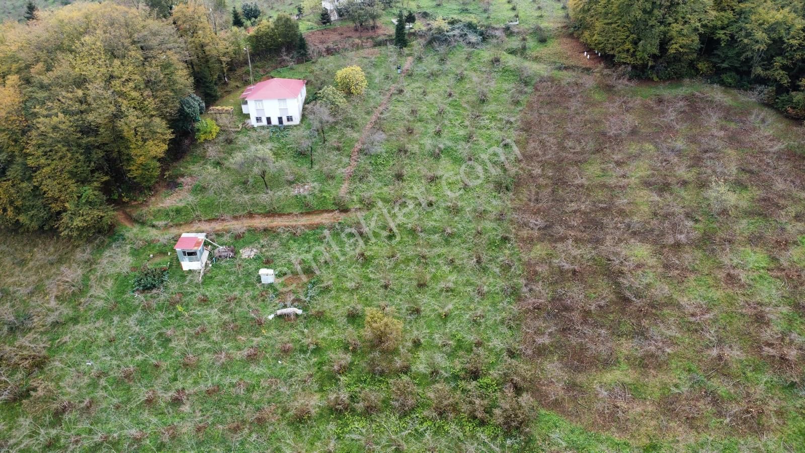 Trabzon Kavala'da Satılık Arazi - Görsel 2