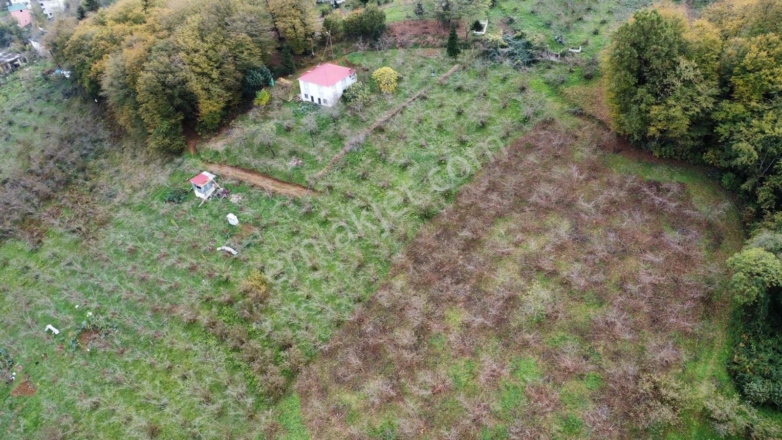 Trabzon Kavala'da Satılık Arazi - Görsel 24