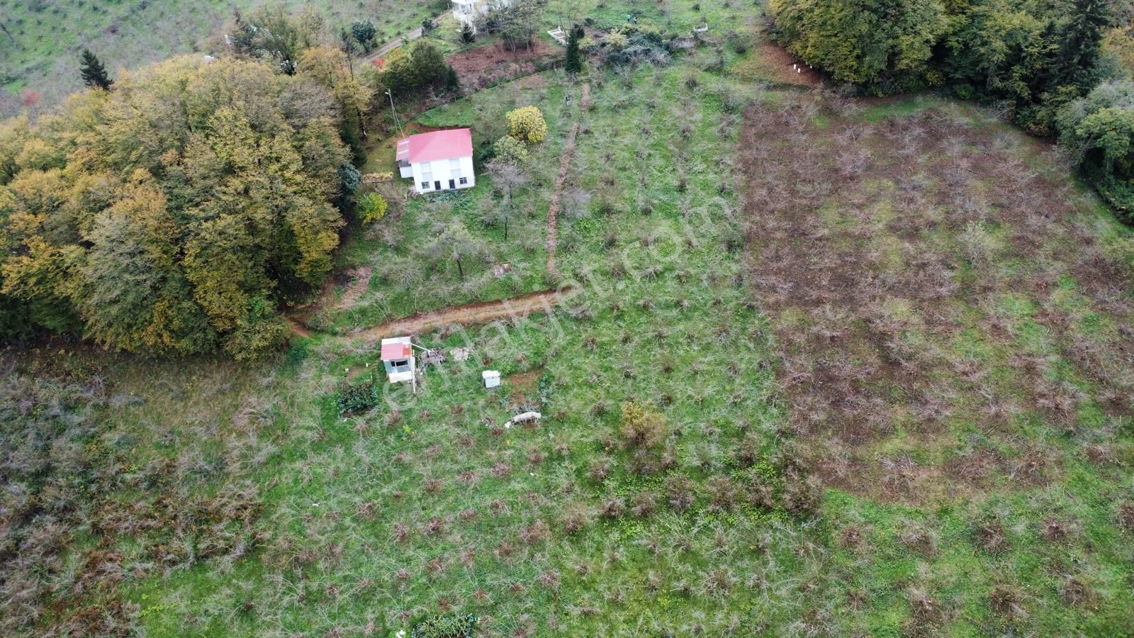 Trabzon Kavala'da Satılık Arazi - Görsel 32