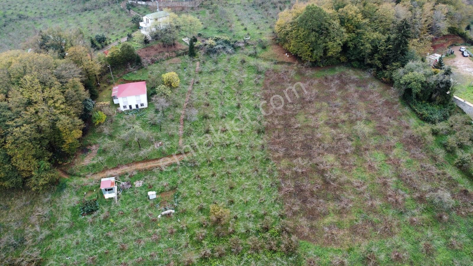 Trabzon Kavala'da Satılık Arazi - Görsel 19