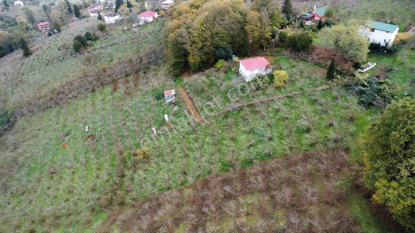 Trabzon Kavala'da Satılık Arazi - Görsel 23