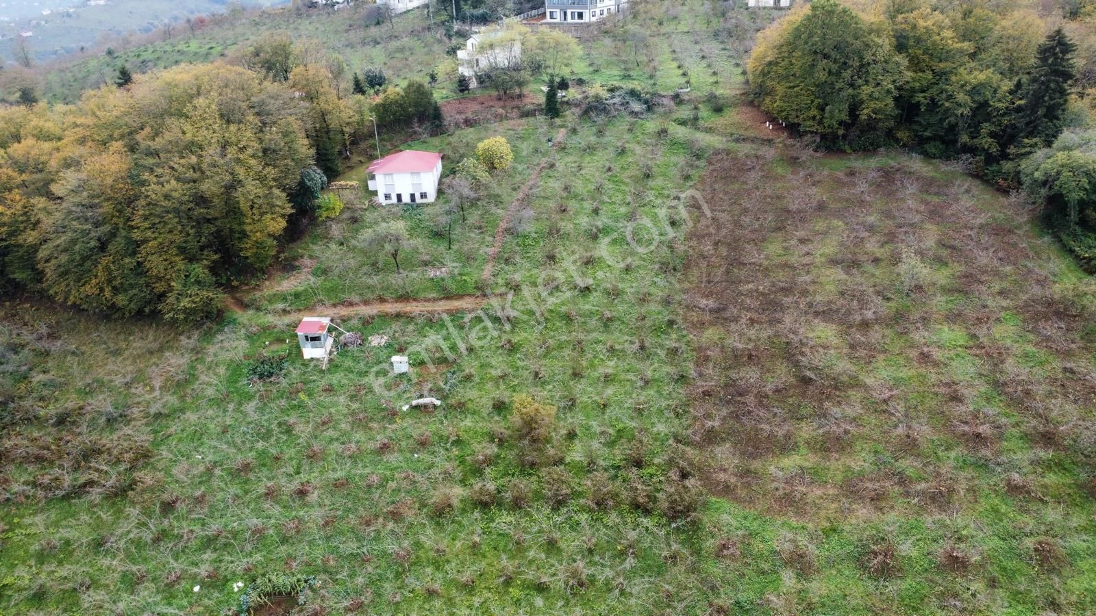 Trabzon Kavala'da Satılık Arazi - Görsel 4