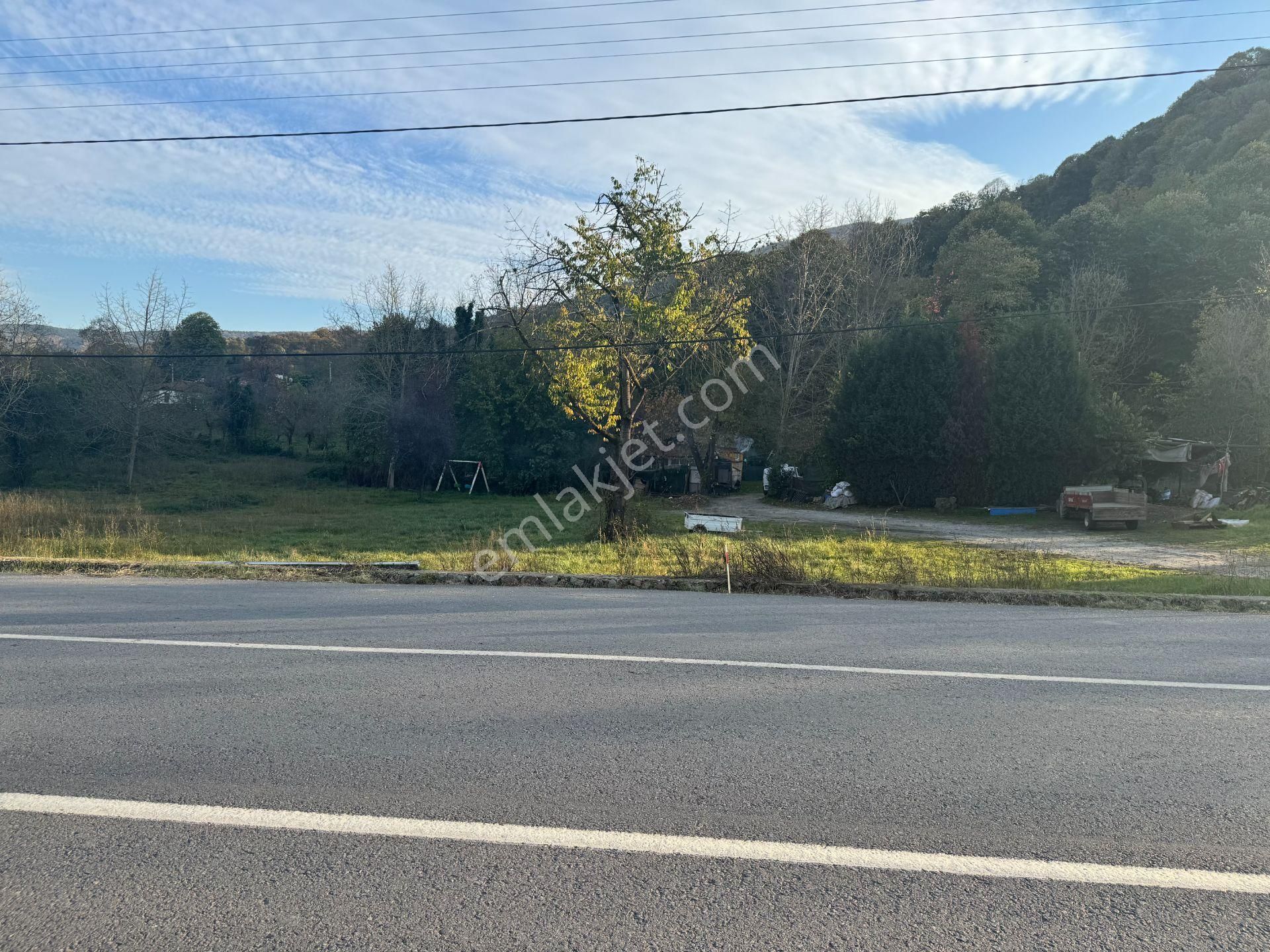 Sapanca Yanık'ta Satılık 7.812 M² Ticari + Villa İmarlı Arsa - Görsel 4