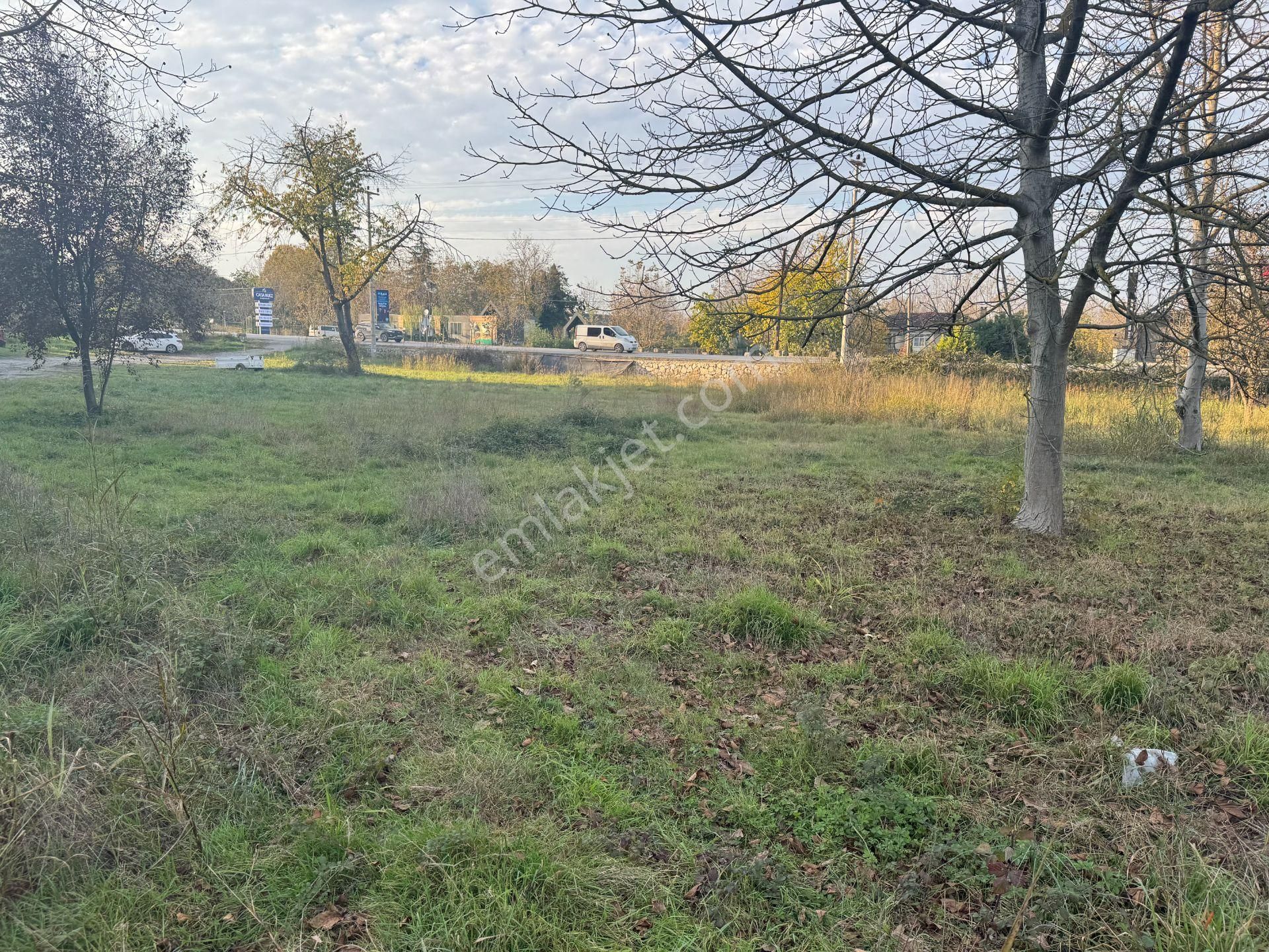 Sapanca Yanık'ta Satılık 7.812 M² Ticari + Villa İmarlı Arsa - Görsel 13