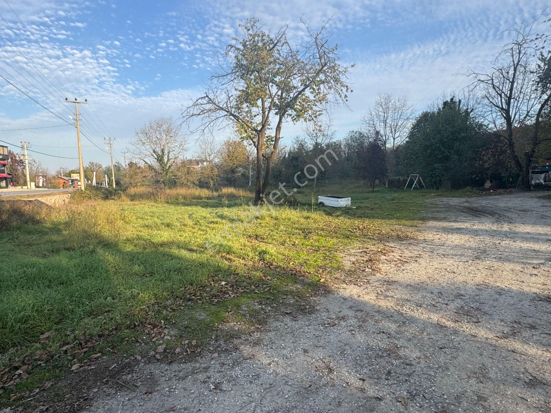 Sapanca Yanık'ta Satılık 7.812 M² Ticari + Villa İmarlı Arsa - Görsel 14