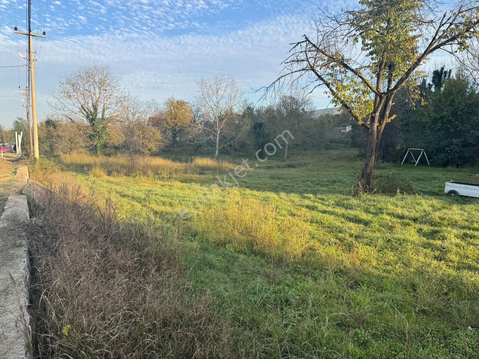 Sapanca Yanık'ta Satılık 7.812 M² Ticari + Villa İmarlı Arsa - Görsel 9