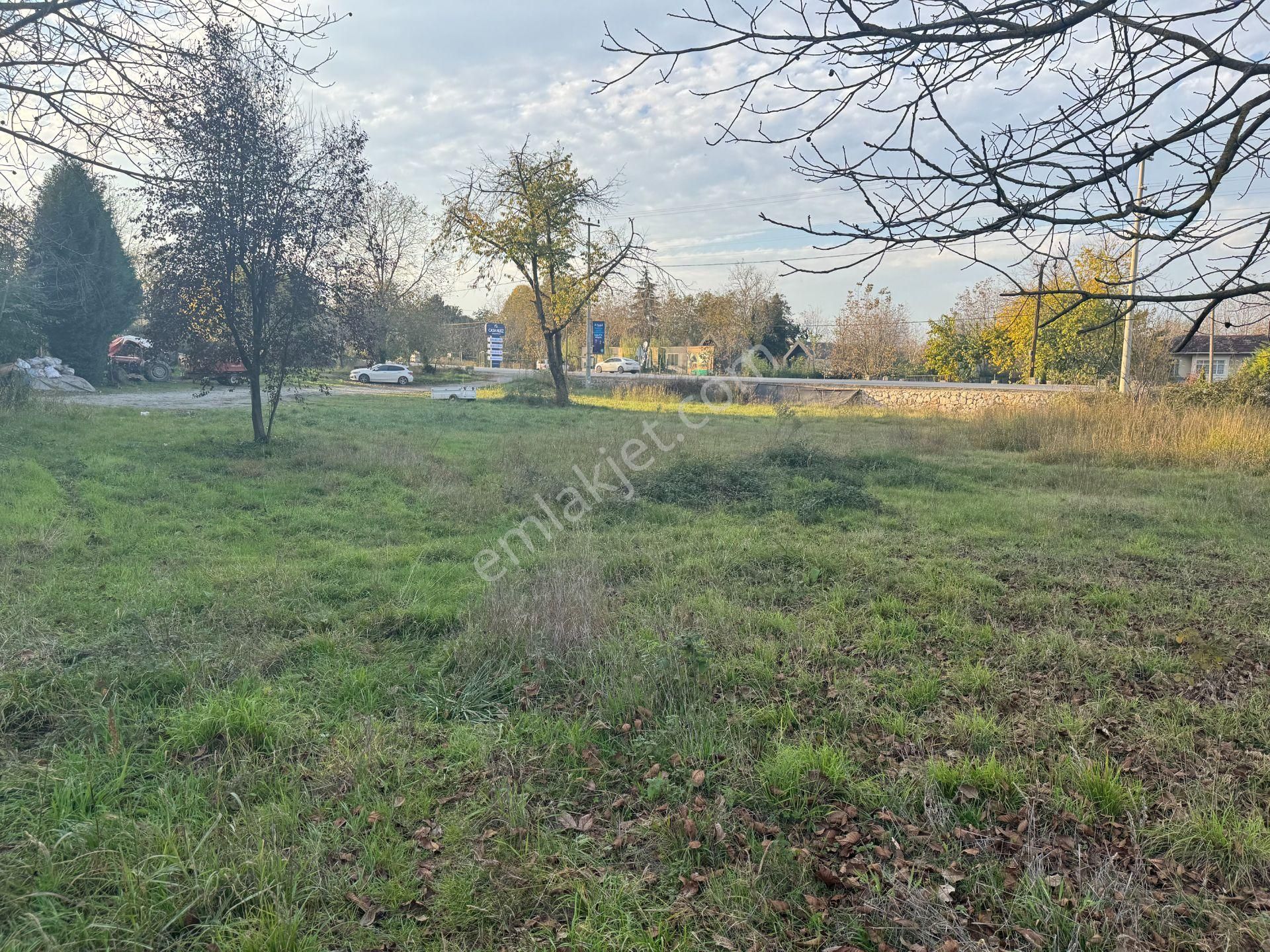 Sapanca Yanık'ta Satılık 7.812 M² Ticari + Villa İmarlı Arsa - Görsel 17
