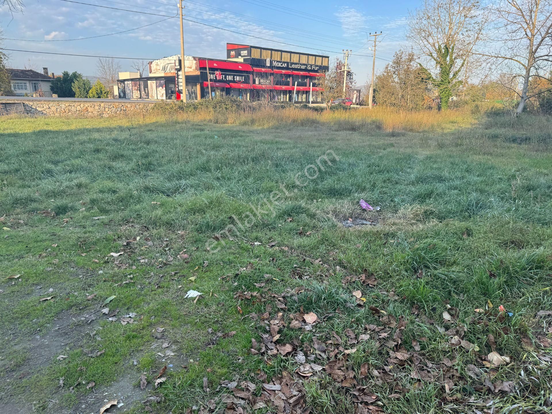 Sapanca Yanık'ta Satılık 7.812 M² Ticari + Villa İmarlı Arsa - Görsel 10