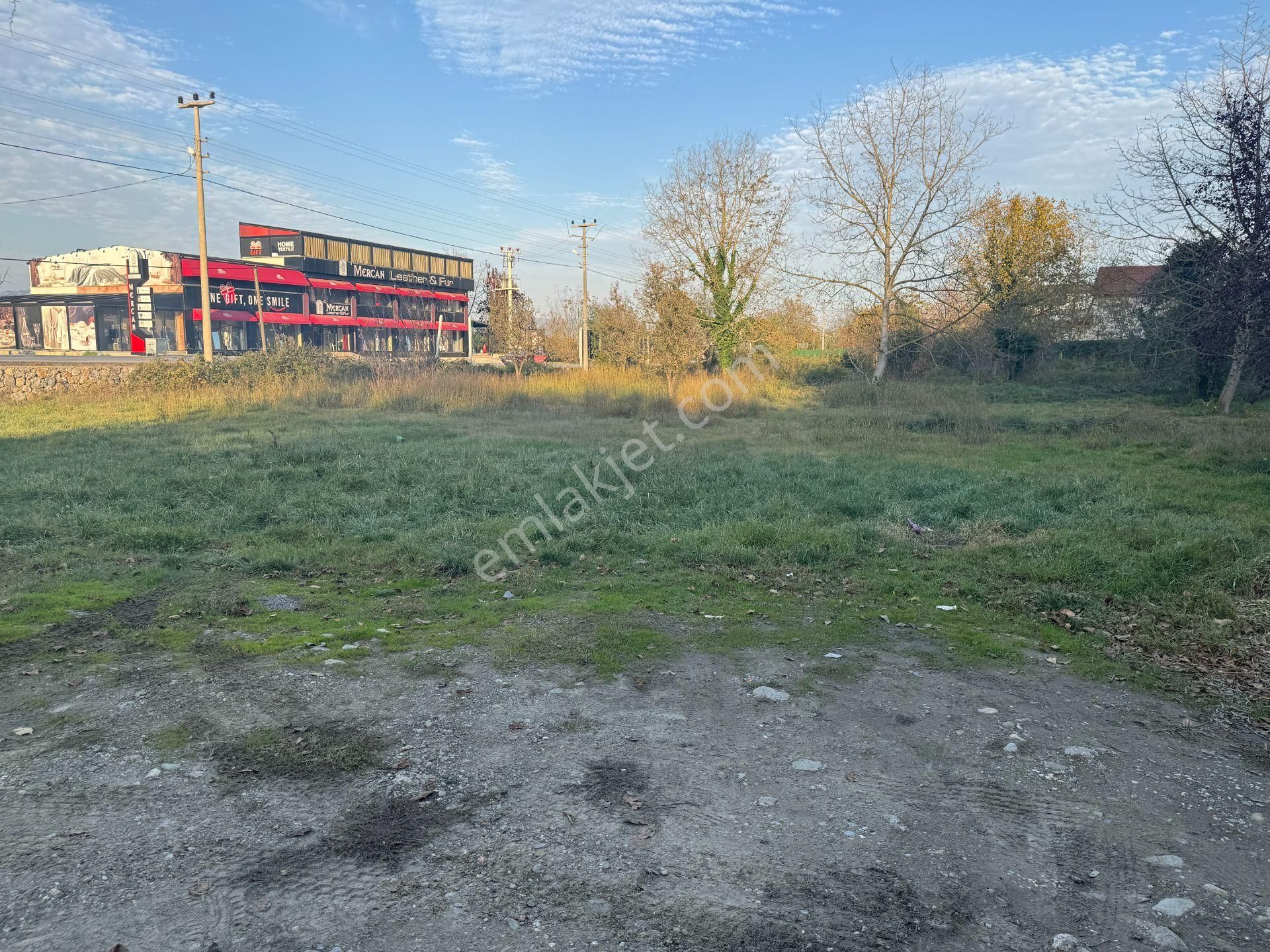 Sapanca Yanık'ta Satılık 7.812 M² Ticari + Villa İmarlı Arsa - Görsel 18