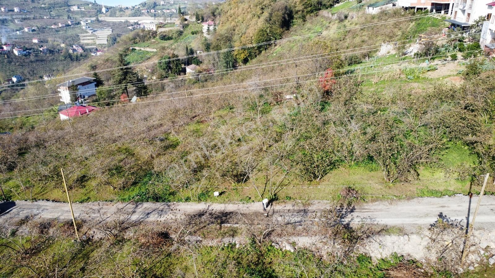 Trabzon'da Satılık Arazi - Görsel 23