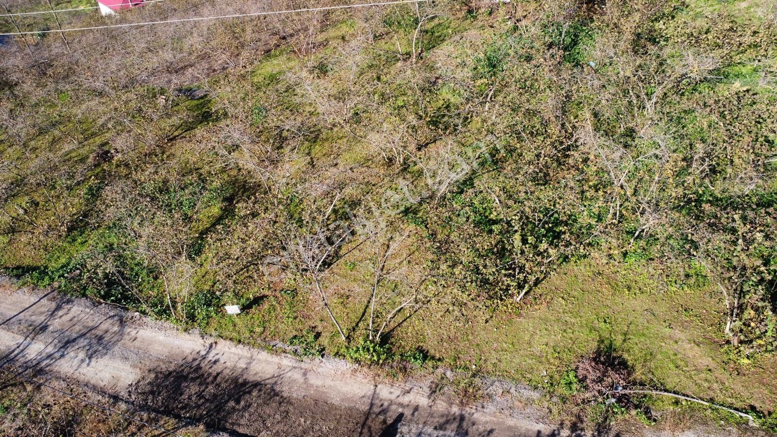 Trabzon'da Satılık Arazi - Görsel 29