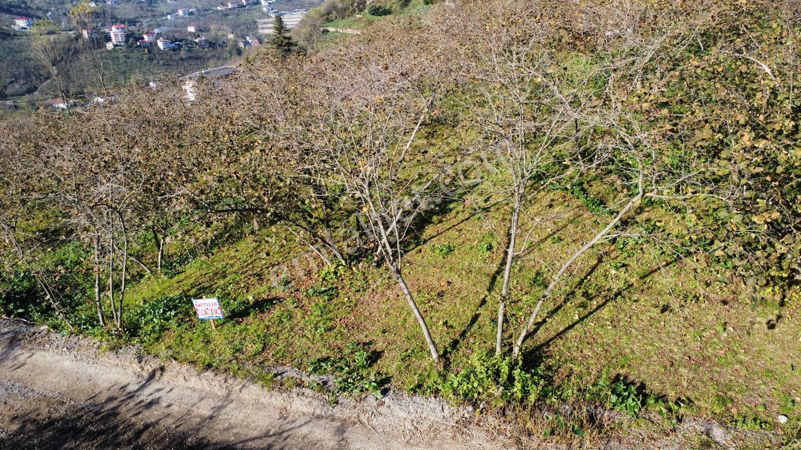 Trabzon'da Satılık Arazi - Görsel 11