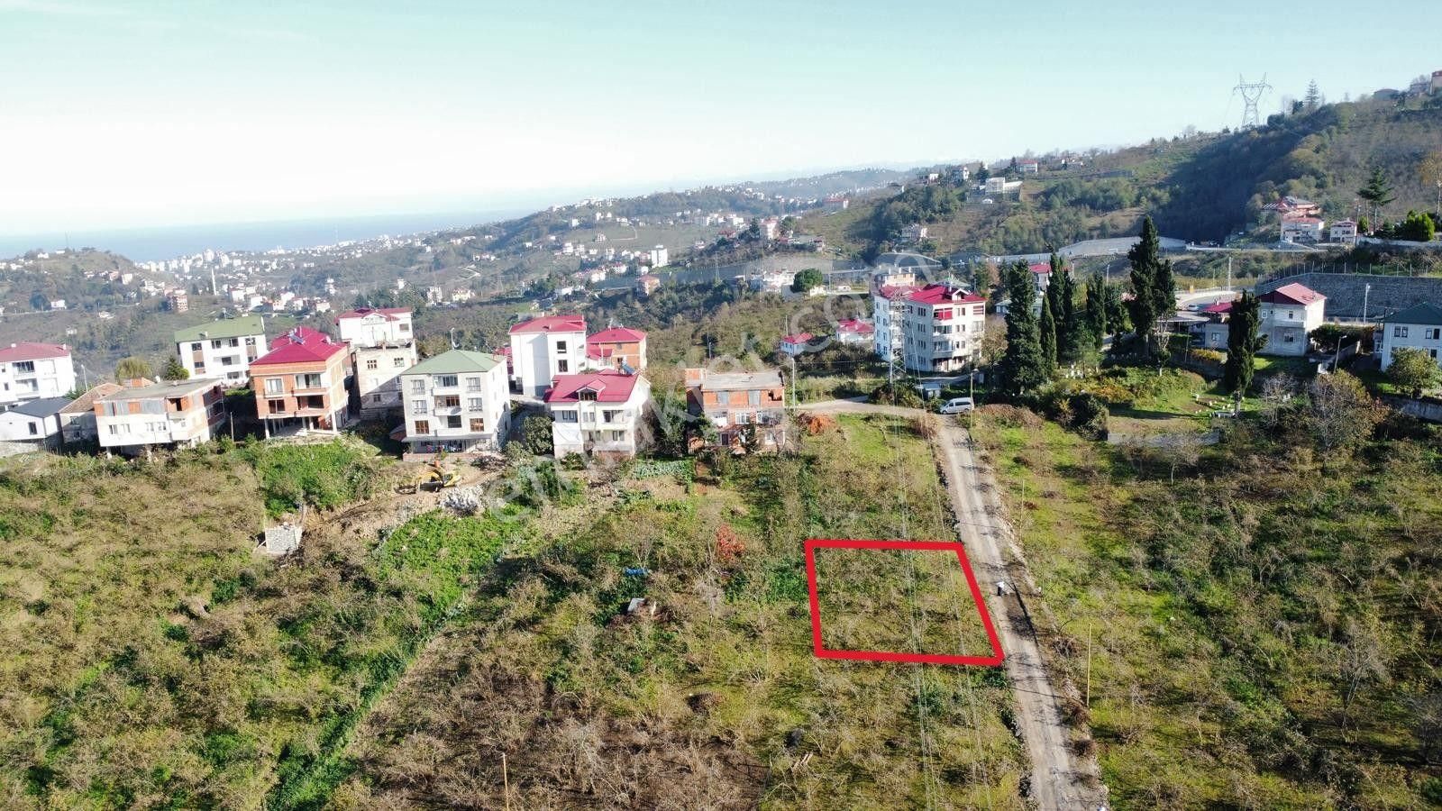 Trabzon'da Satılık Arazi - Görsel 20