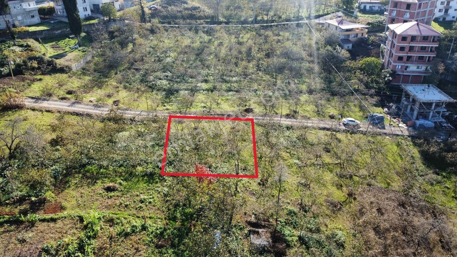 Trabzon'da Satılık Arazi - Görsel 3