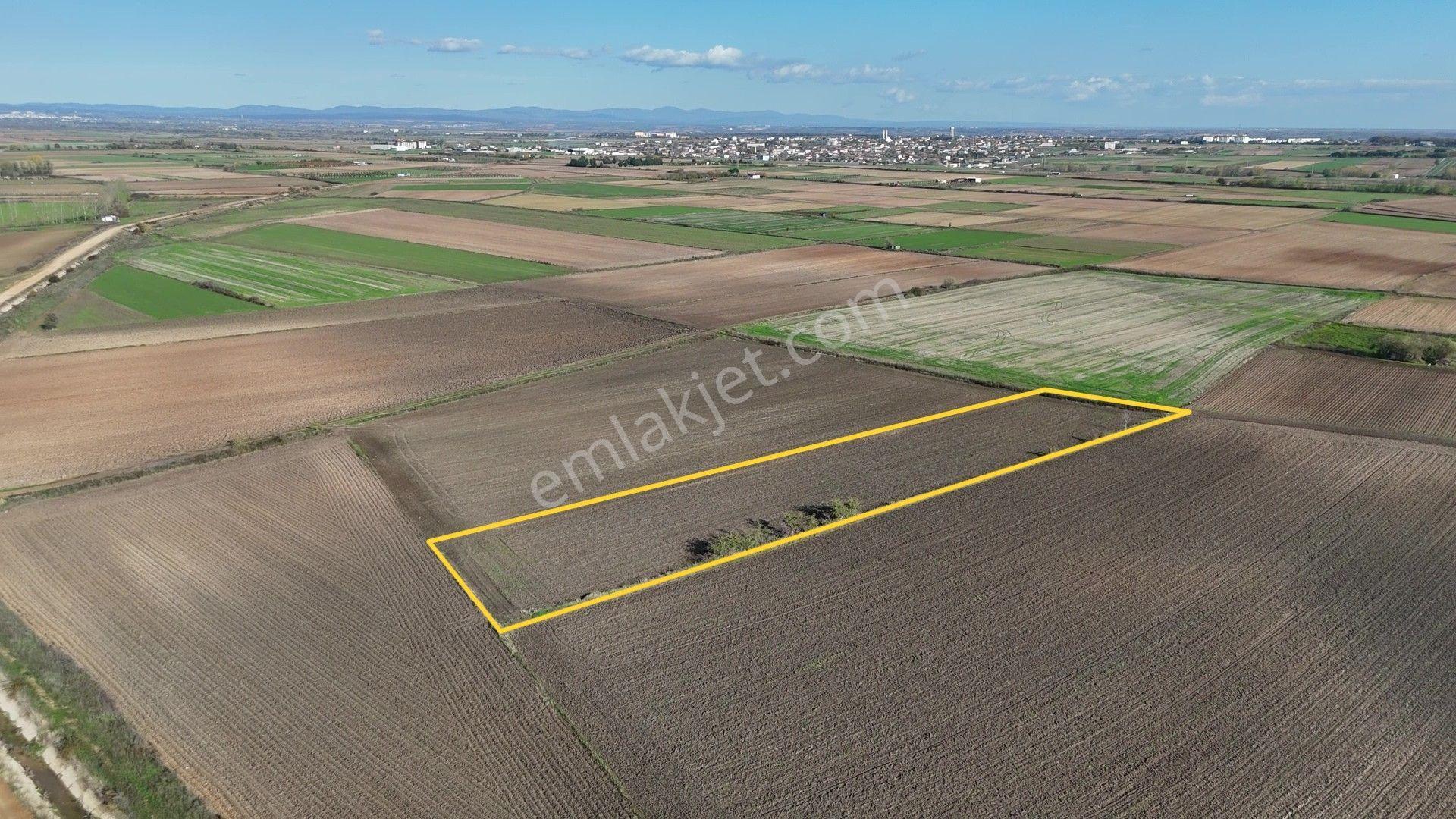 Kırklareli Kavaklı'ya Yakın Harika Konumuyla Ana Kanal Yanında Sulanabilir 4.800m² - Görsel 17