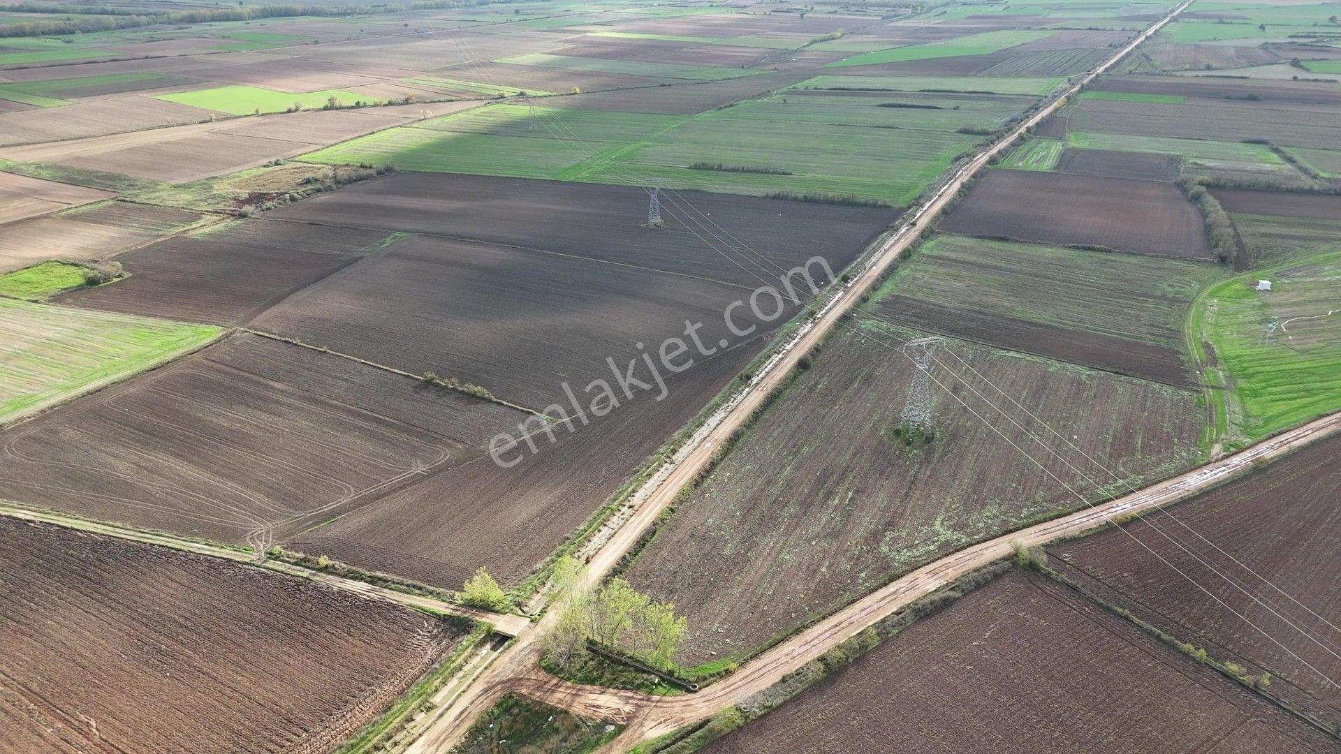 Kırklareli Kavaklı'ya Yakın Harika Konumuyla Ana Kanal Yanında Sulanabilir 4.800m² - Görsel 26