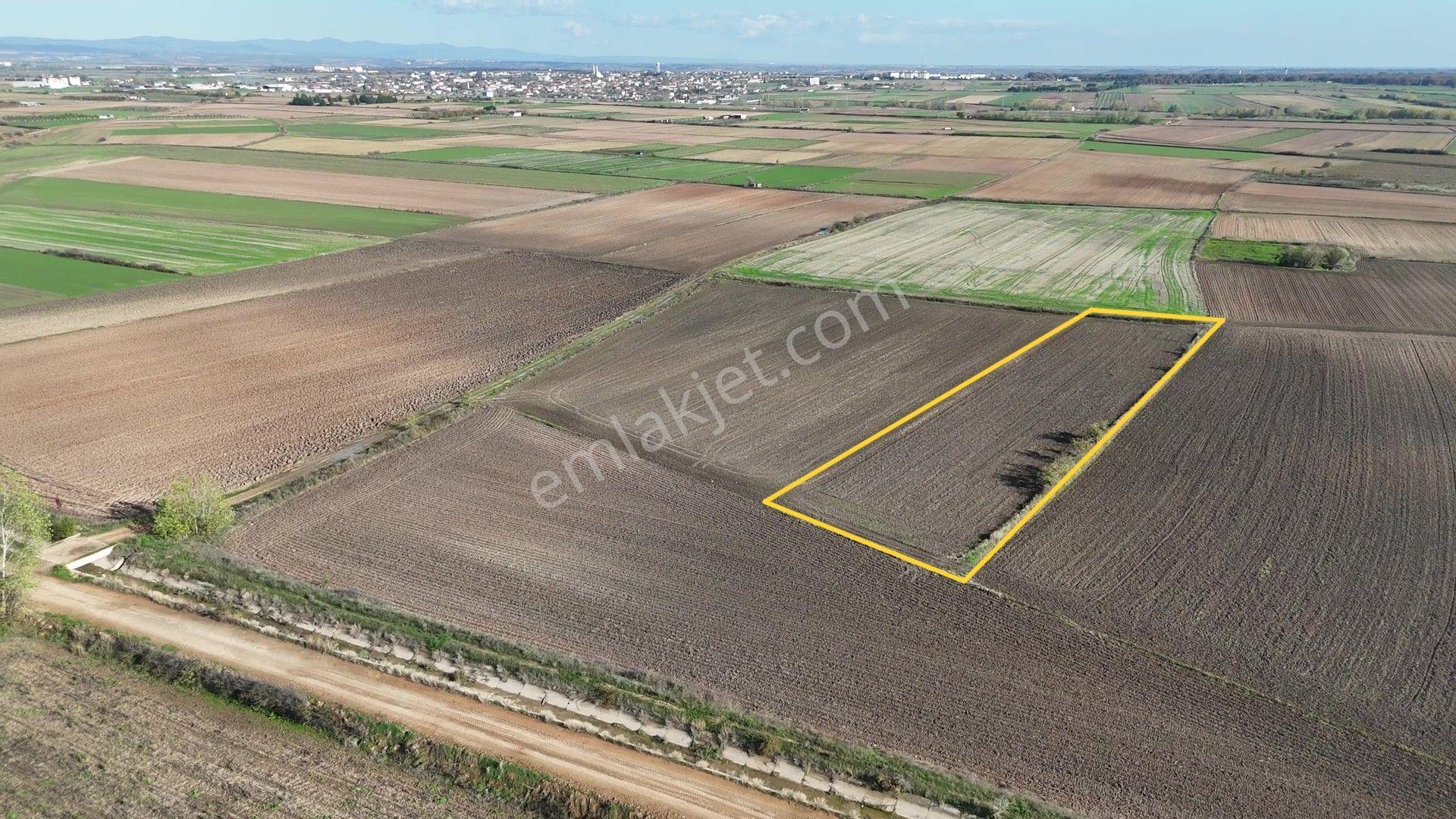 Kırklareli Kavaklı'ya Yakın Harika Konumuyla Ana Kanal Yanında Sulanabilir 4.800m² - Görsel 16