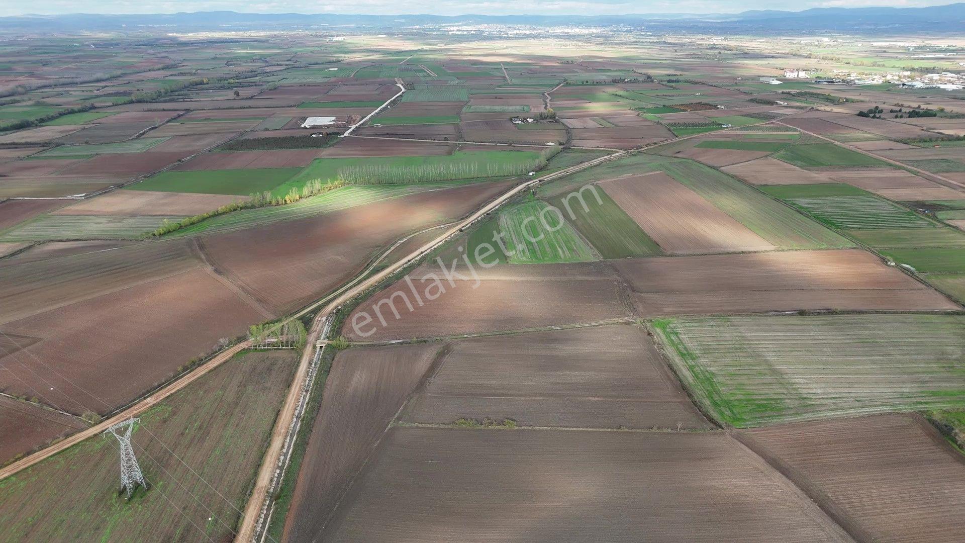 Kırklareli Kavaklı'ya Yakın Harika Konumuyla Ana Kanal Yanında Sulanabilir 4.800m² - Görsel 30