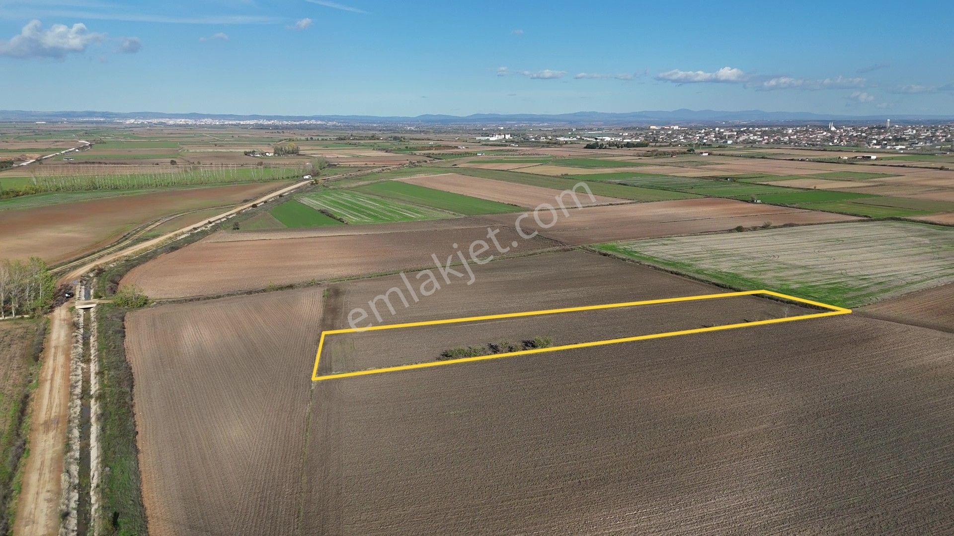Kırklareli Kavaklı'ya Yakın Harika Konumuyla Ana Kanal Yanında Sulanabilir 4.800m² - Görsel 19