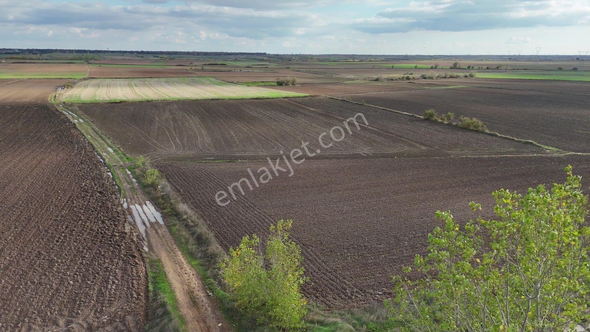 Kırklareli Kavaklı'ya Yakın Harika Konumuyla Ana Kanal Yanında Sulanabilir 4.800m² - Görsel 23