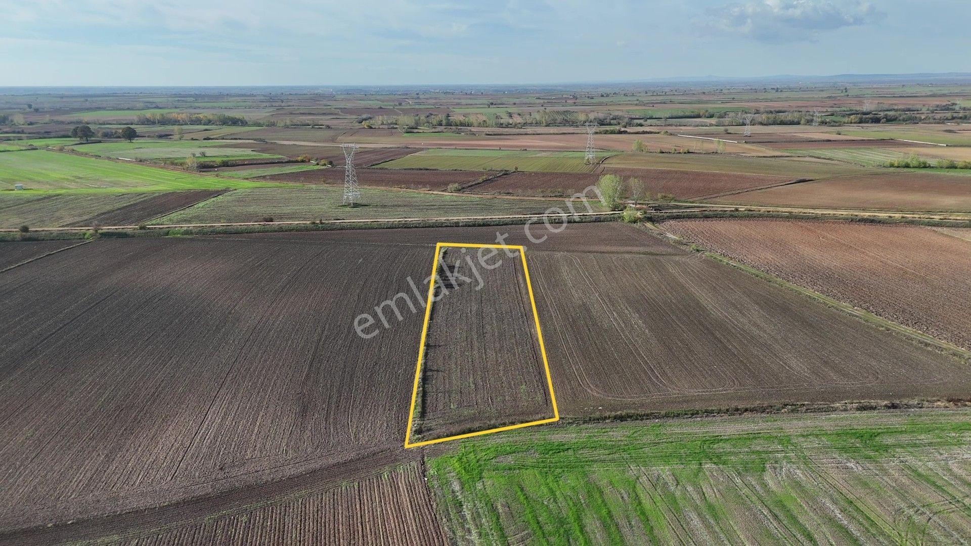 Kırklareli Kavaklı'ya Yakın Harika Konumuyla Ana Kanal Yanında Sulanabilir 4.800m² - Görsel 14