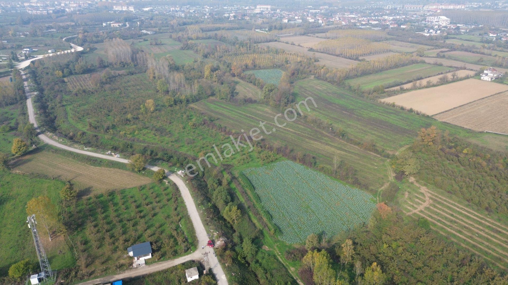 Akmanoğlu Emlaktan Yahyalar Mh Açık Besiye Uygun 10,130 M2 Tarla - Görsel 11