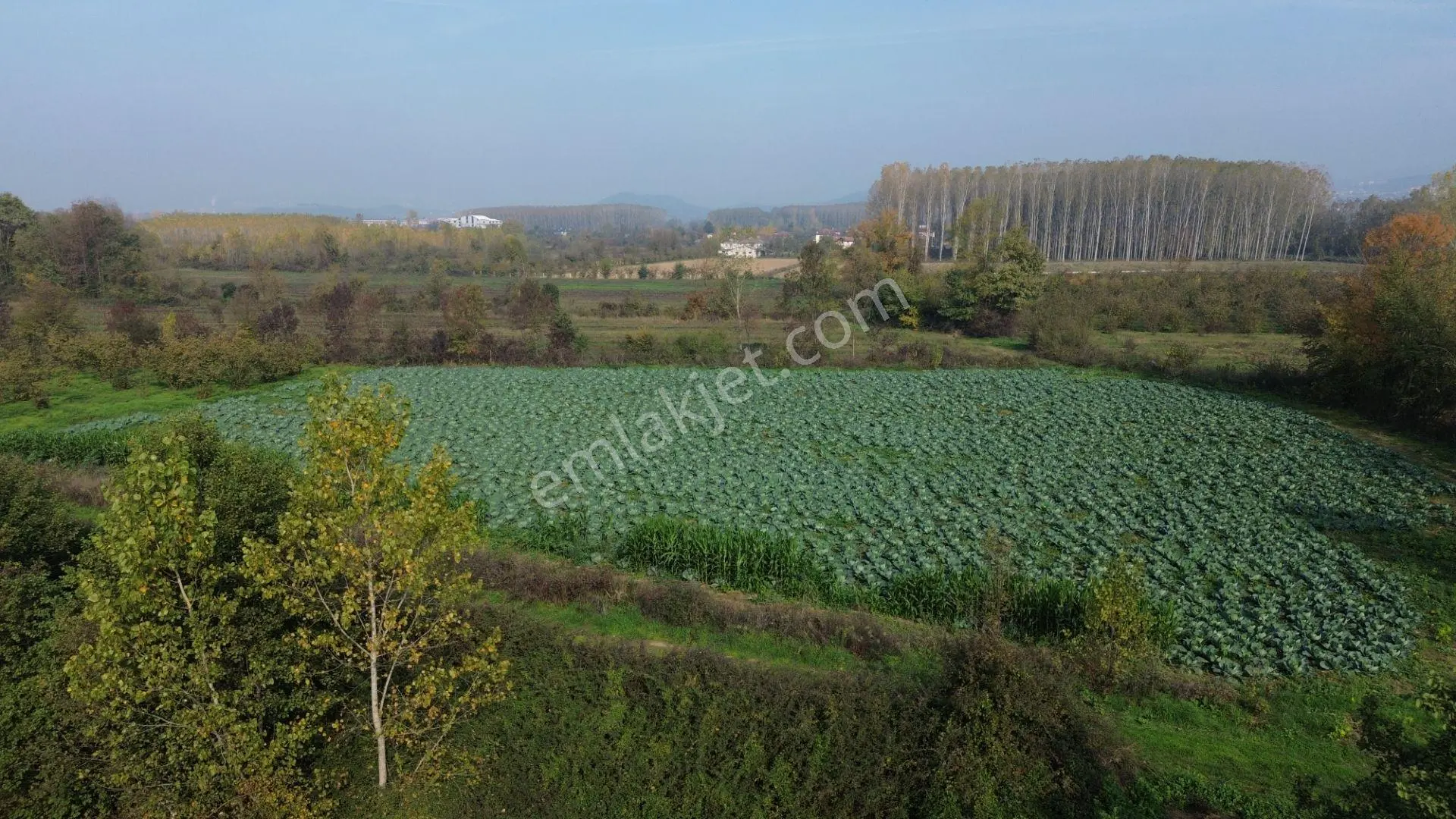 Akmanoğlu Emlaktan Yahyalar Mh Açık Besiye Uygun 10,130 M2 Tarla - Görsel 2