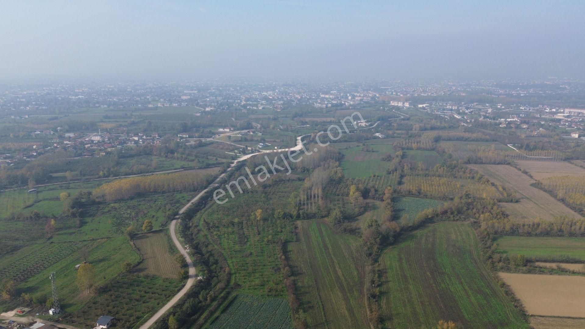 Akmanoğlu Emlaktan Yahyalar Mh Açık Besiye Uygun 10,130 M2 Tarla - Görsel 20
