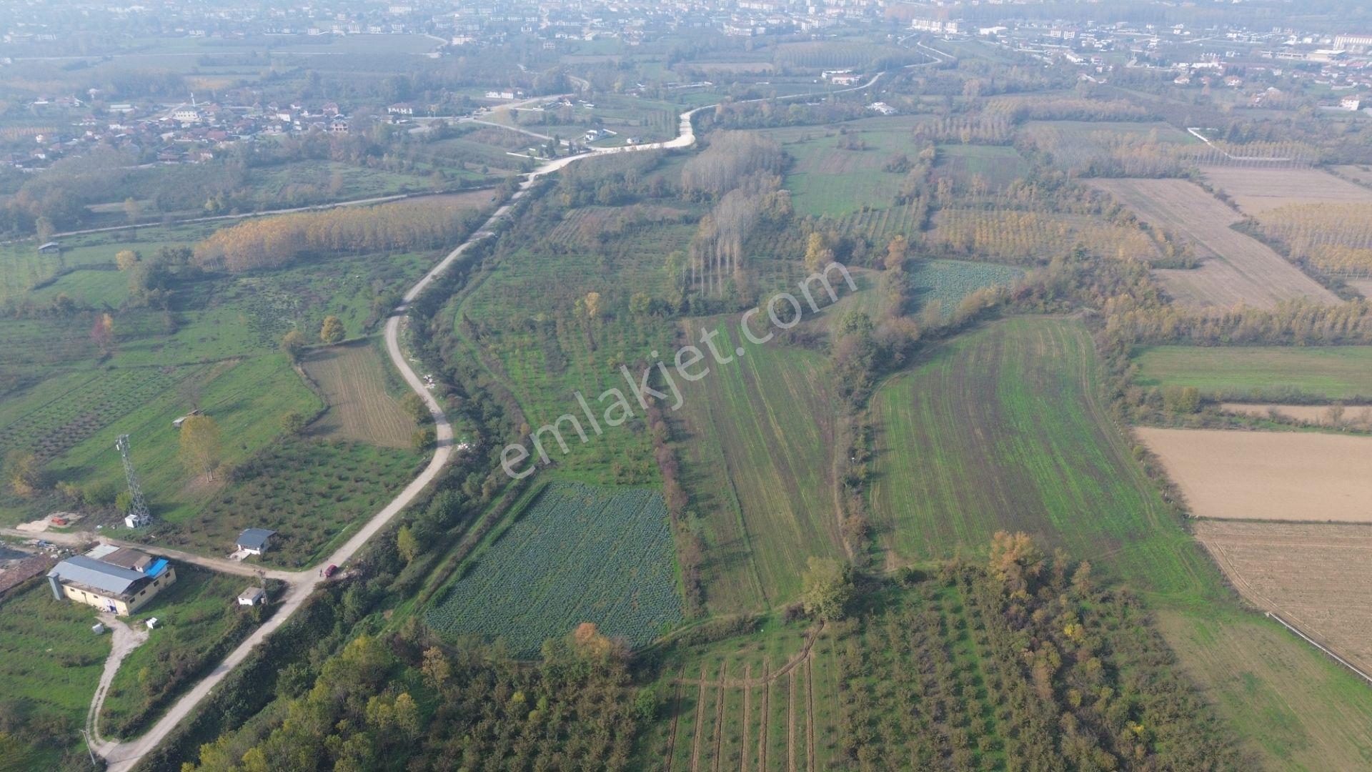 Akmanoğlu Emlaktan Yahyalar Mh Açık Besiye Uygun 10,130 M2 Tarla - Görsel 18