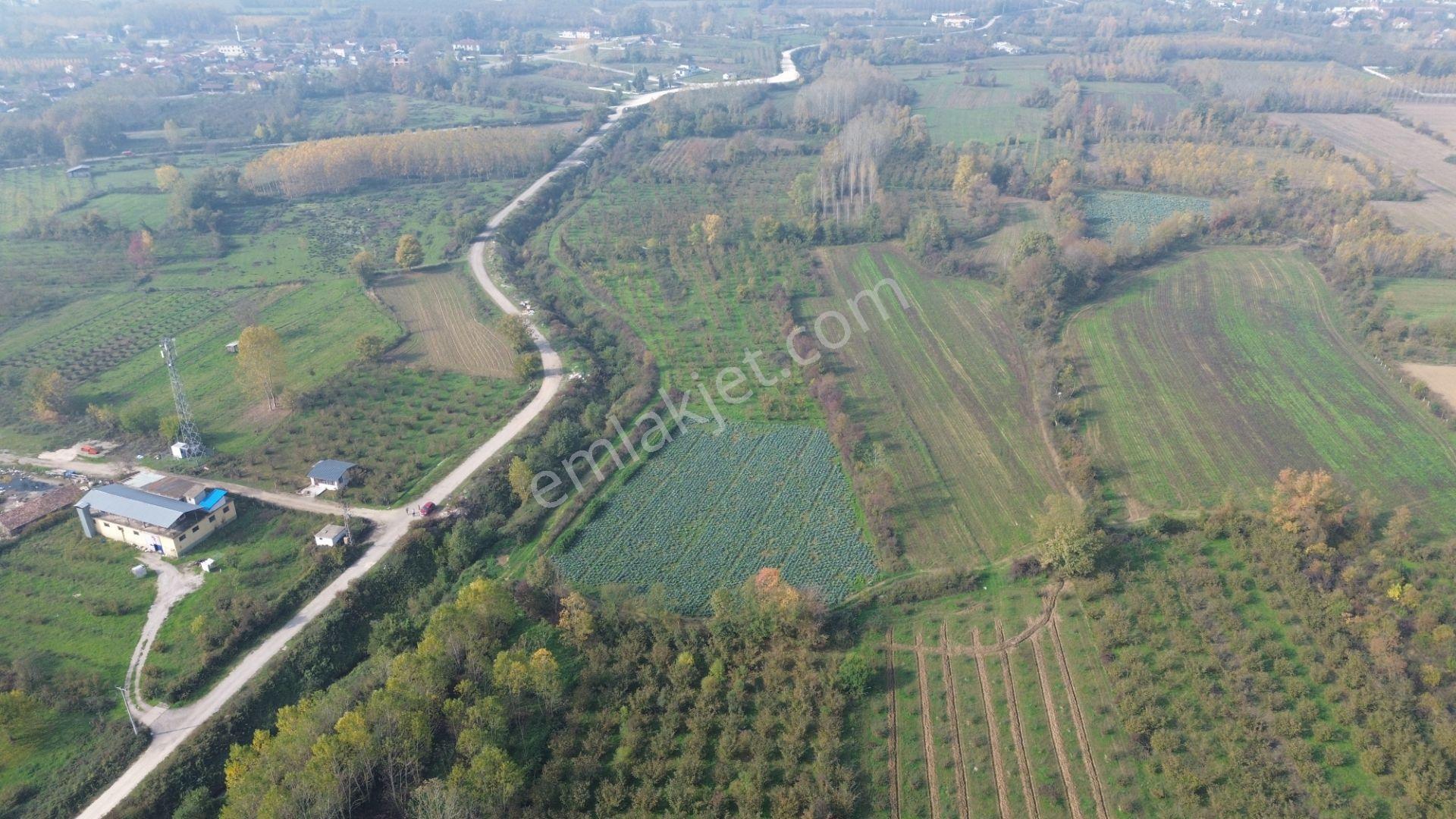 Akmanoğlu Emlaktan Yahyalar Mh Açık Besiye Uygun 10,130 M2 Tarla - Görsel 23