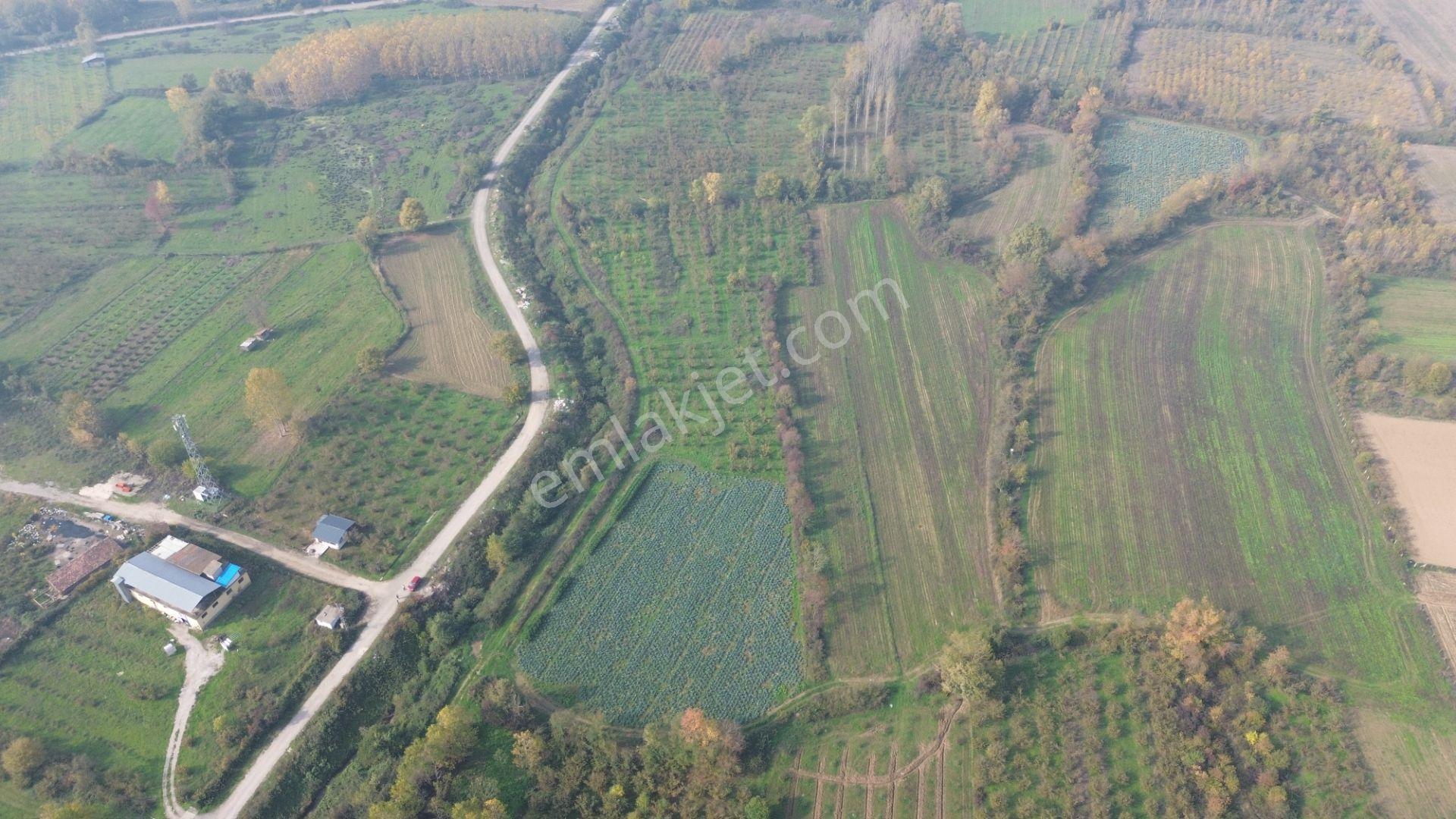 Akmanoğlu Emlaktan Yahyalar Mh Açık Besiye Uygun 10,130 M2 Tarla - Görsel 16