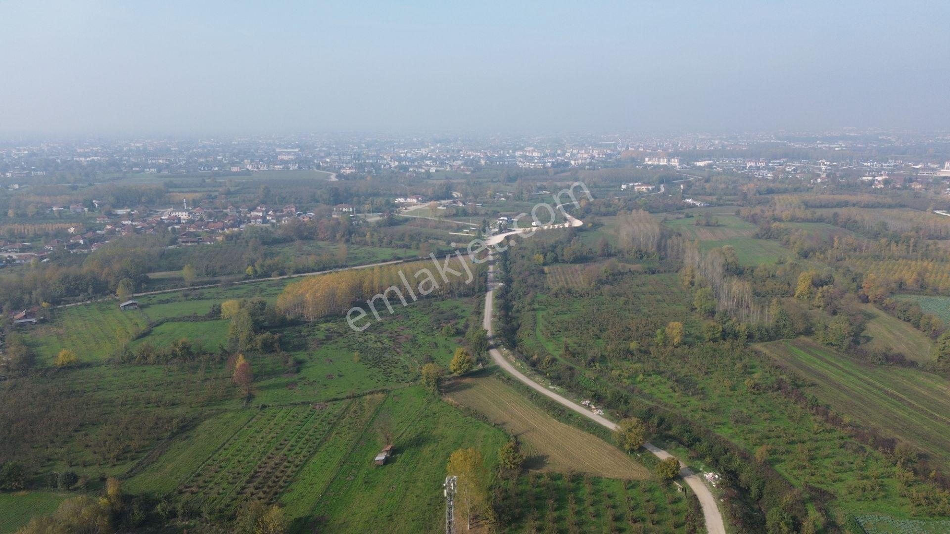 Akmanoğlu Emlaktan Yahyalar Mh Açık Besiye Uygun 10,130 M2 Tarla - Görsel 13