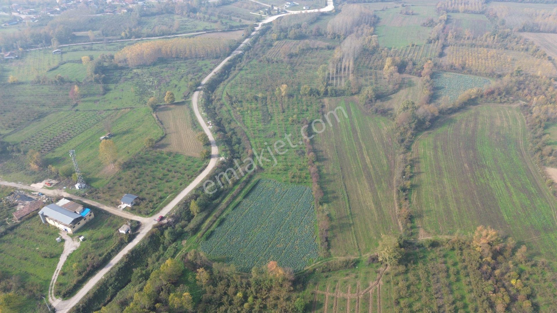 Akmanoğlu Emlaktan Yahyalar Mh Açık Besiye Uygun 10,130 M2 Tarla - Görsel 17