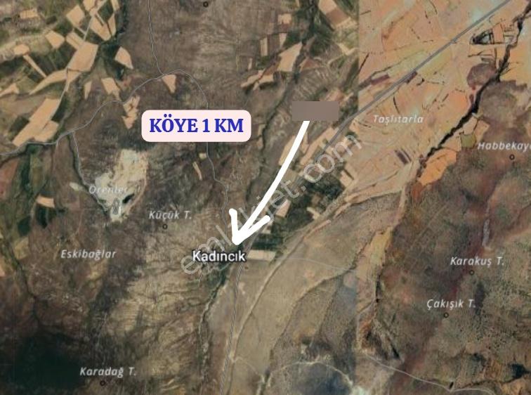 Eskişehir Sivrihisar Kadıncık Köyünde 8.413 M² Tarla Satılıktır - Görsel 4