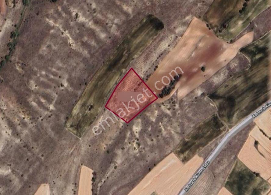 Eskişehir Sivrihisar Kadıncık Köyünde 8.413 M² Tarla Satılıktır