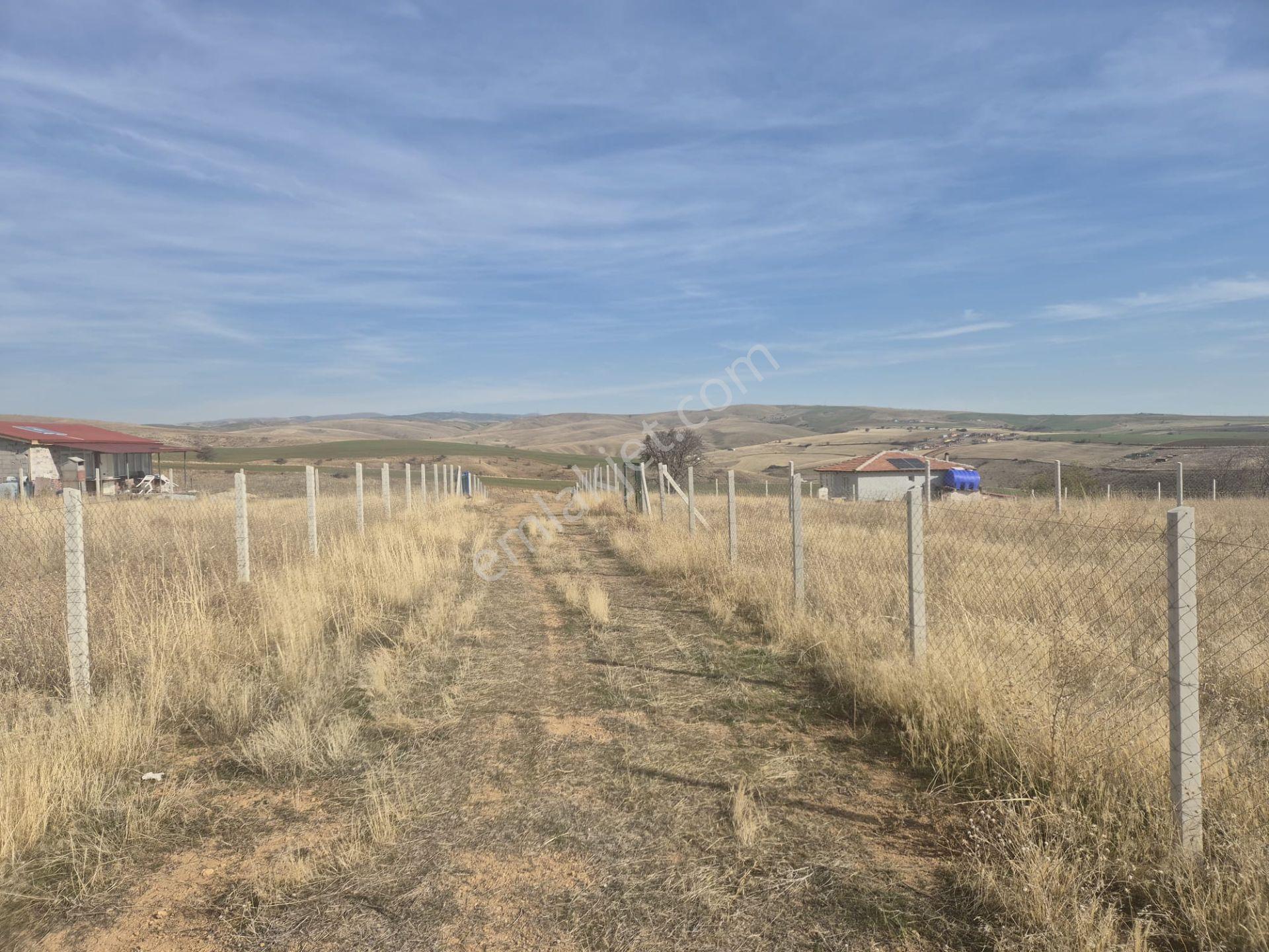 Satılık 1600 M2 Bahçe - Görsel 9