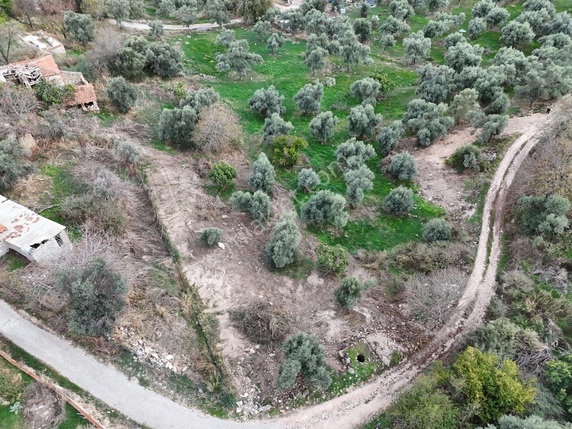 Milas Hisarcık’ta 3 Kat İmkanlı 775 M² Müstakil Arsa - Görsel 5