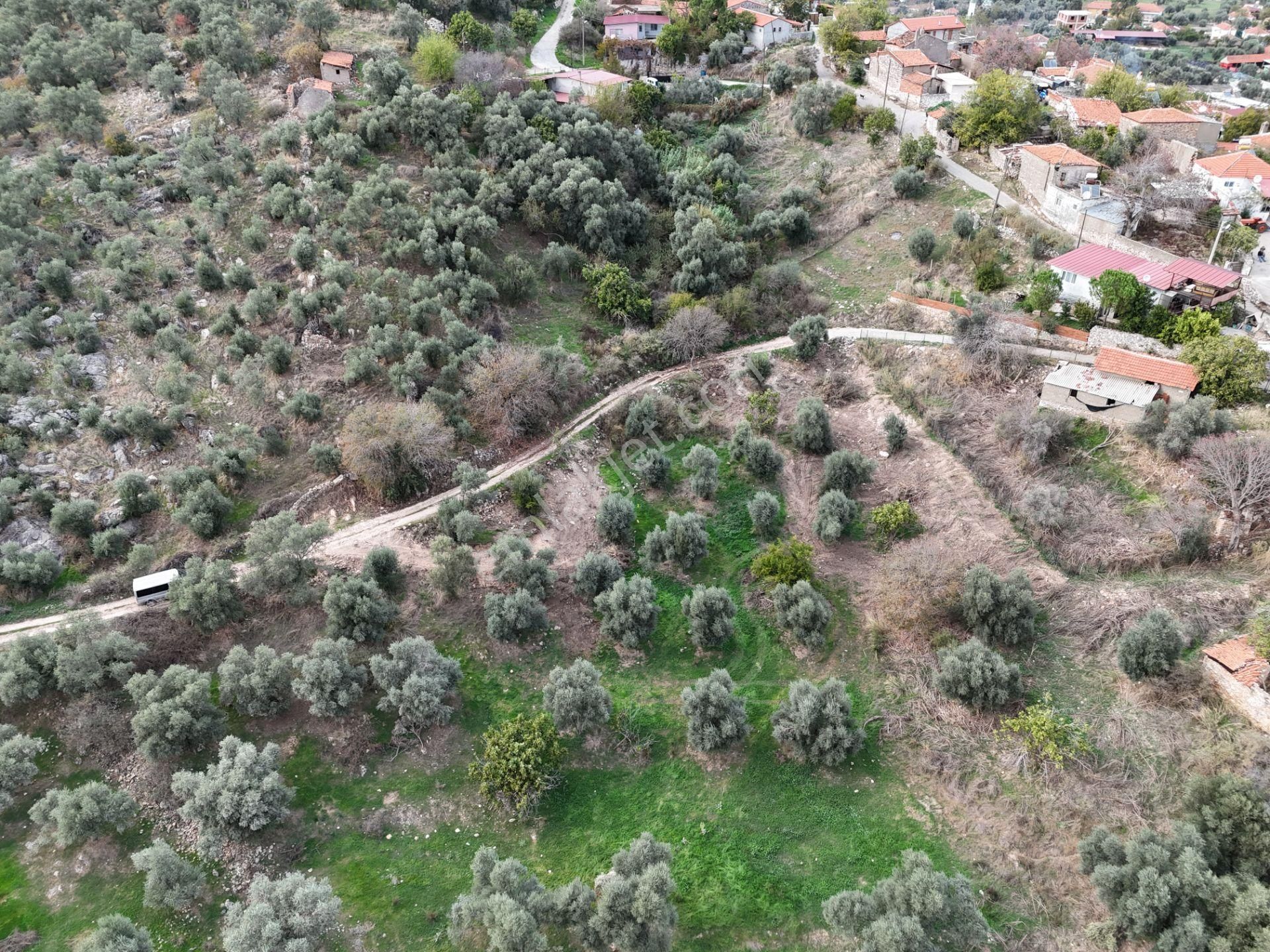 Milas Hisarcık’ta 3 Kat İmkanlı 775 M² Müstakil Arsa - Görsel 17