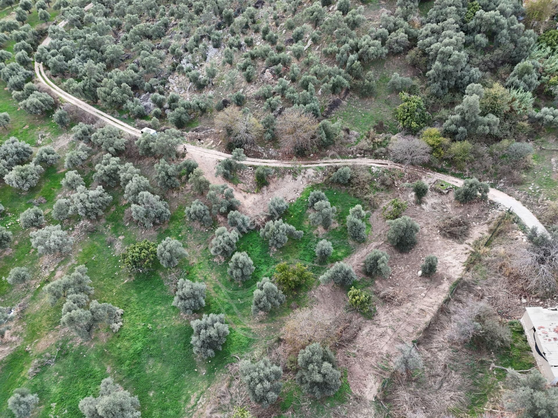 Milas Hisarcık’ta 3 Kat İmkanlı 775 M² Müstakil Arsa - Görsel 9