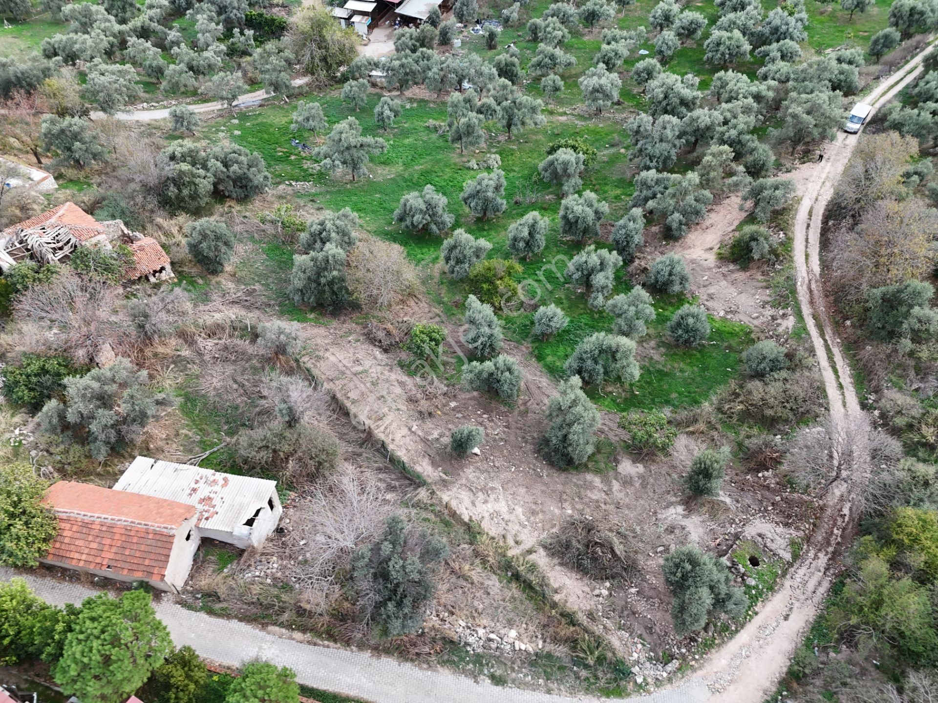 Milas Hisarcık’ta 3 Kat İmkanlı 775 M² Müstakil Arsa - Görsel 6