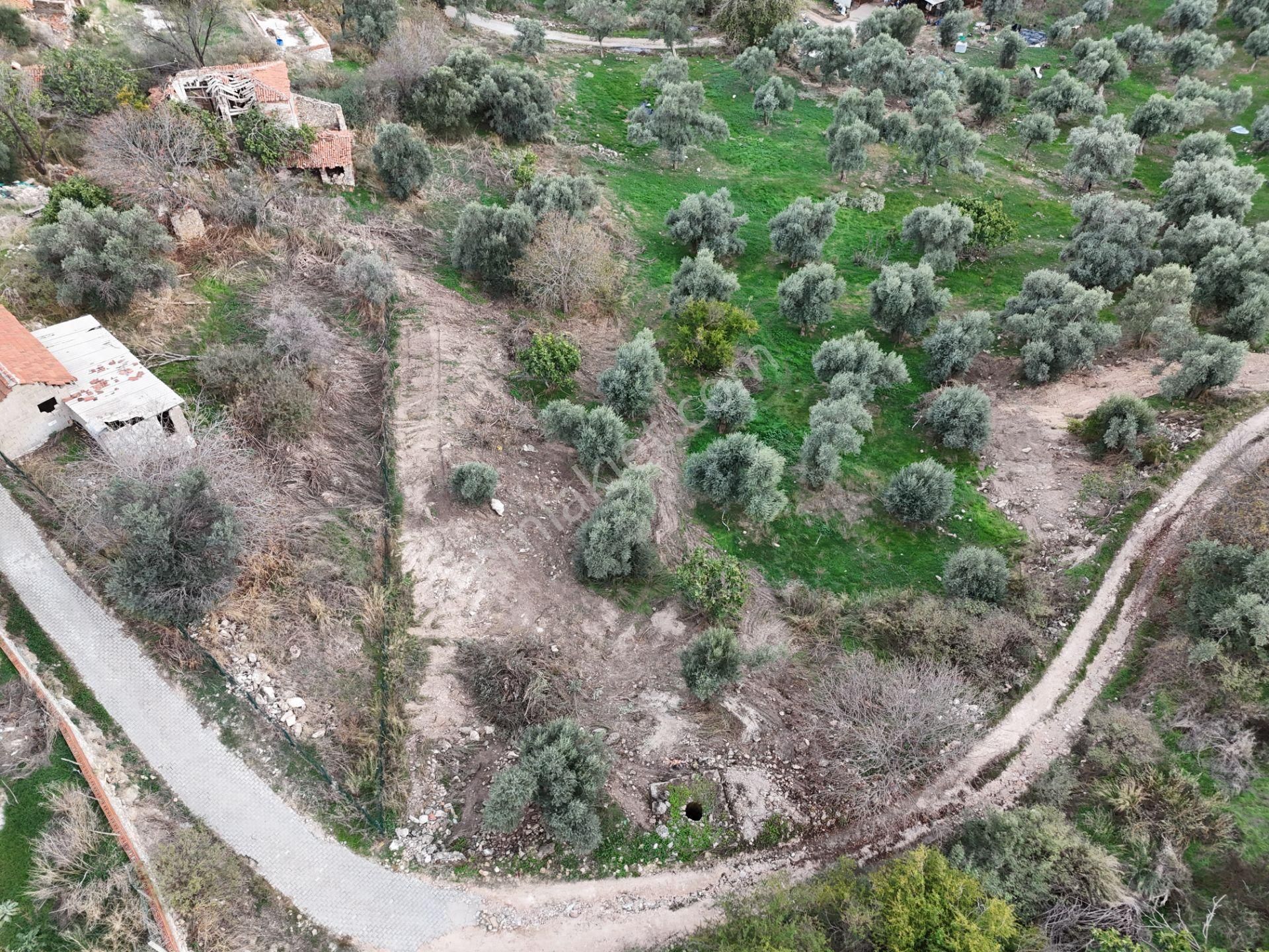 Milas Hisarcık’ta 3 Kat İmkanlı 775 M² Müstakil Arsa - Görsel 4