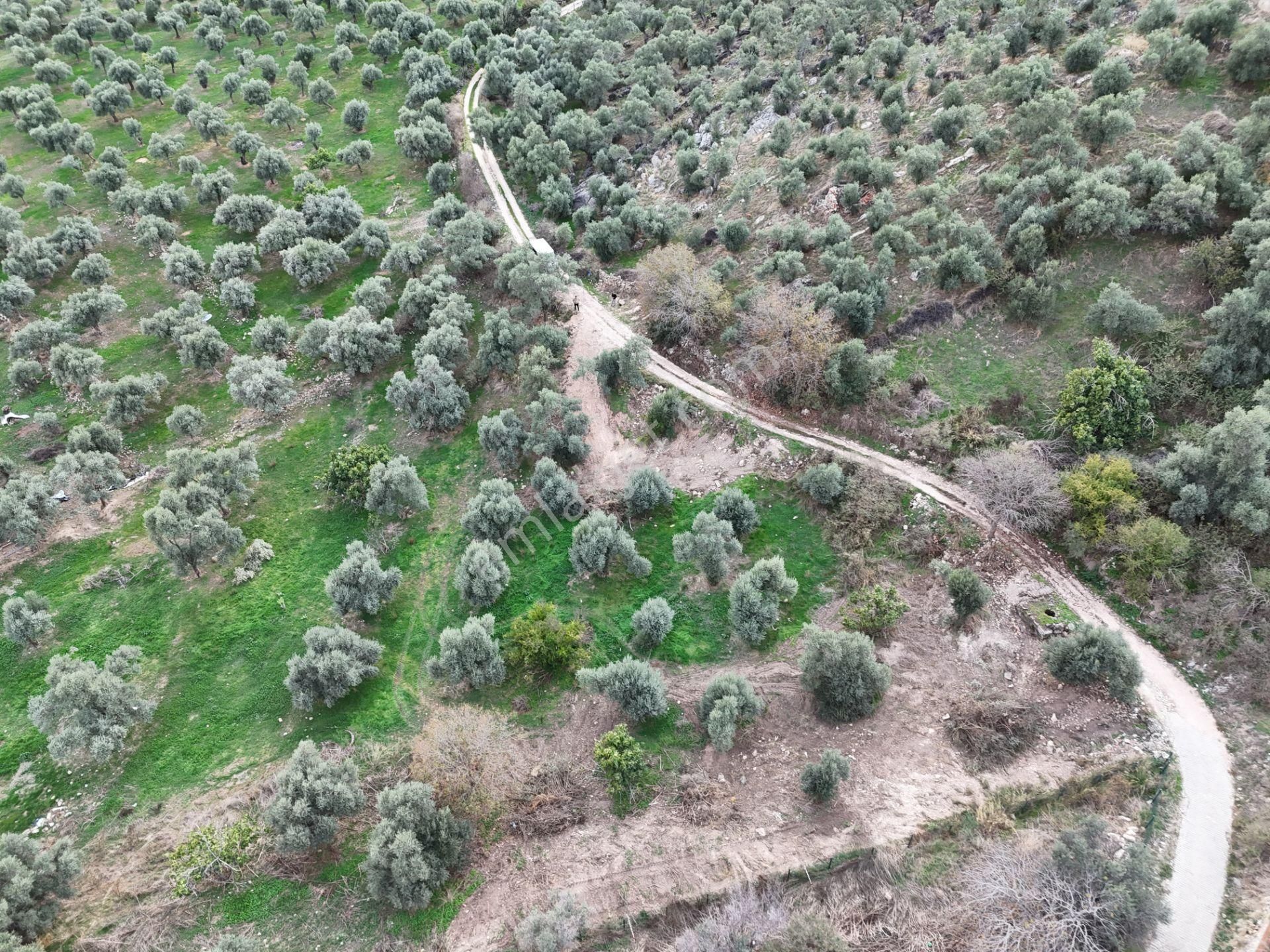 Milas Hisarcık’ta 3 Kat İmkanlı 775 M² Müstakil Arsa - Görsel 8