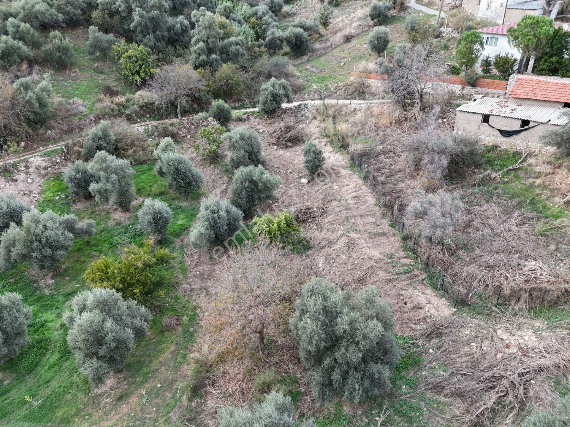 Milas Hisarcık’ta 3 Kat İmkanlı 775 M² Müstakil Arsa - Görsel 13